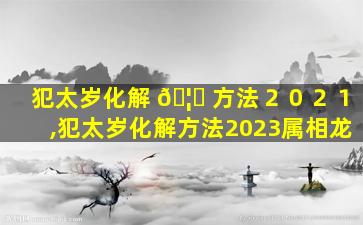 犯太岁化解 🦊 方法２０２１,犯太岁化解方法2023属相龙